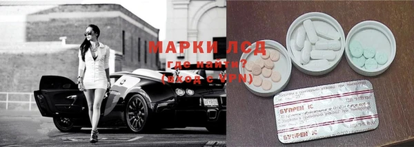 мяу мяу мука Баксан