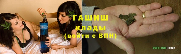 мяу мяу мука Баксан
