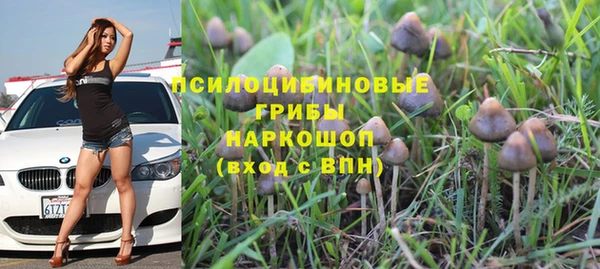 мяу мяу мука Баксан