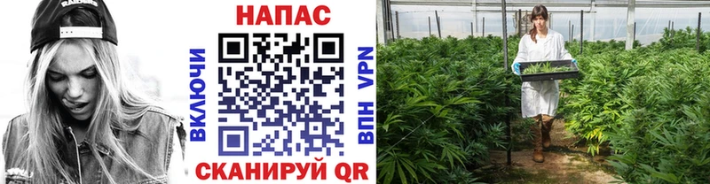 Конопля LSD WEED blacksprut как зайти Североморск